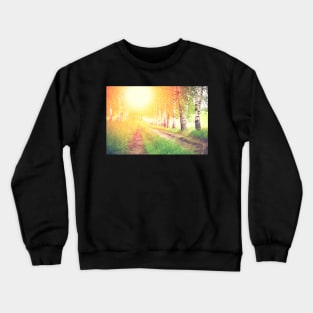 Alley of green birches against sunrise Crewneck Sweatshirt